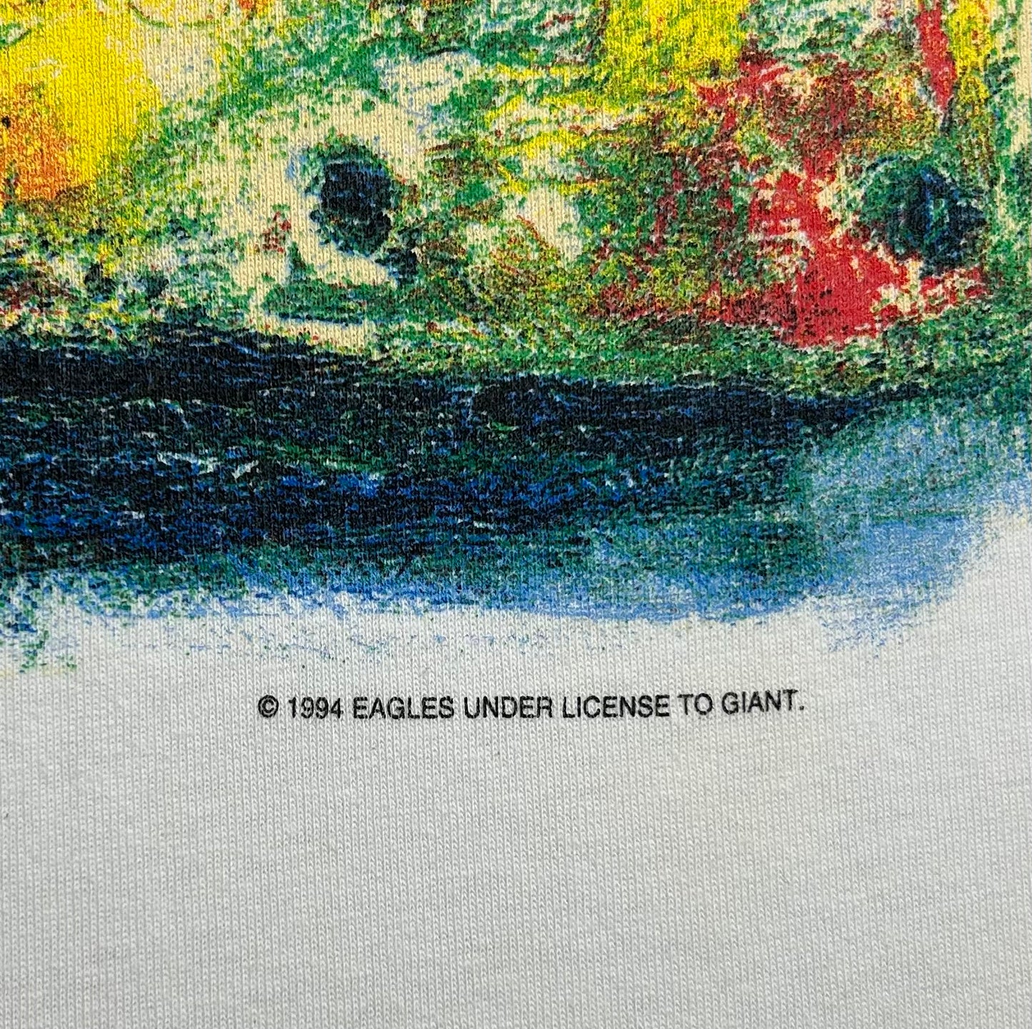 THE EAGLES 1994 HELL FREEZES OVER TEE - L